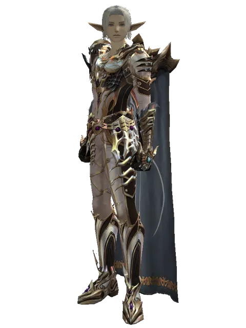 Noble Vesper + Fighter Cloak (light armor) on a male Elf, front view