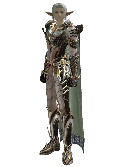 Noble Vesper + Mage Cloak (light armor) on a male Elf, front view