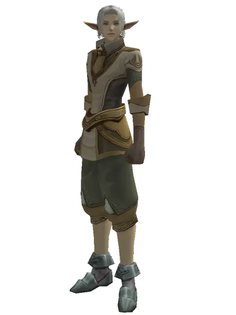 Feriotic (robe) on a male Elf, front view