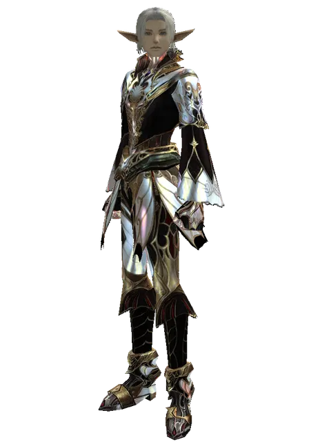 Vesper Set - Robe on a male Elf, front view