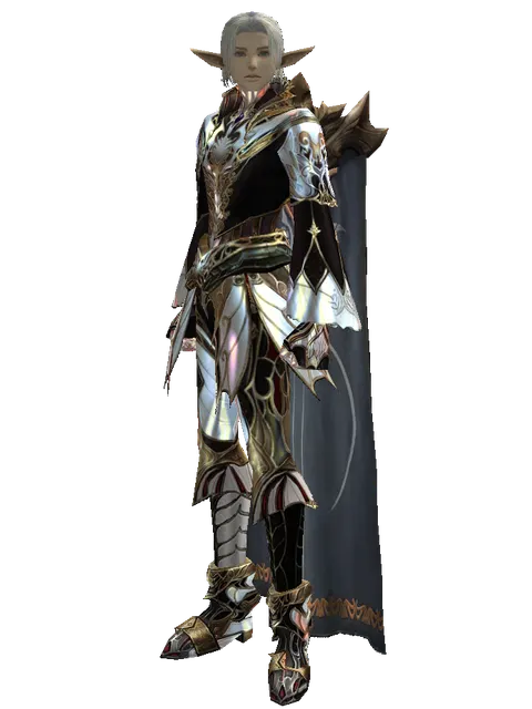 Vesper Set - Robe on a male Elf, front view