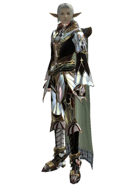 Vesper Set - Robe on a male Elf, front view
