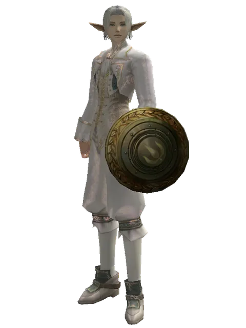 Bronze Shield on a male Elf, front view