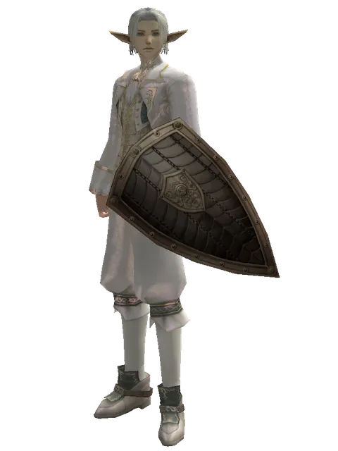 Chain Shield on a male Elf, front view