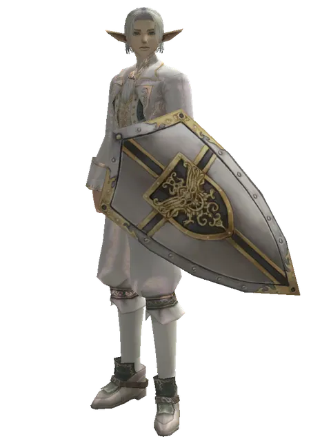 Knight's Shield on a male Elf, front view