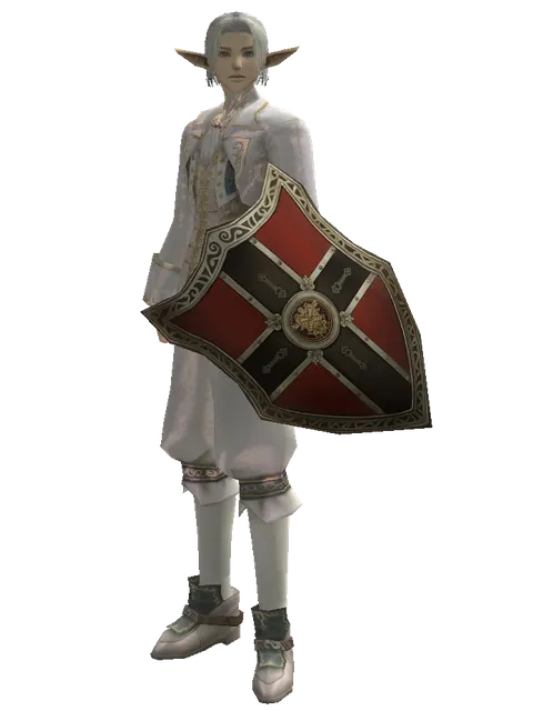 Zubei Shield on a male Elf, front view
