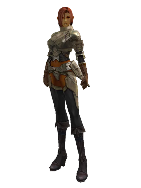 Bronze (heavy armor) on a female Human fighter, front view