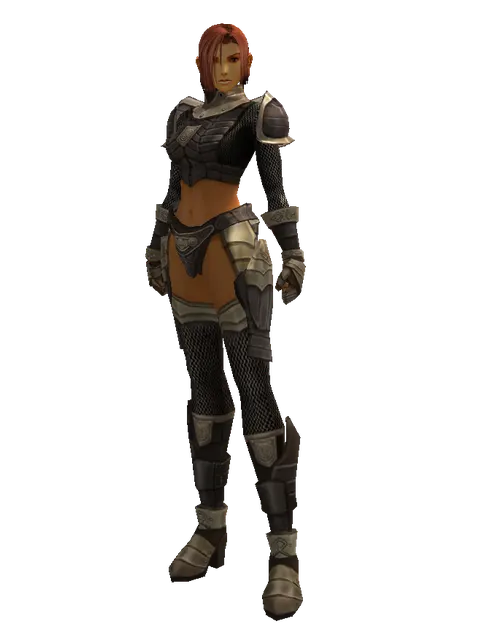 Chain Mail Set on a female Human fighter, front view