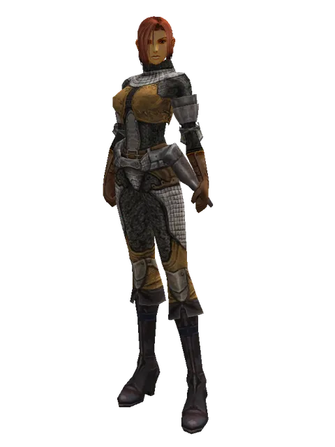 Lion Skin (light armor) on a female Human fighter, front view