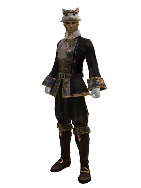 Cat the Cat Hat (?) on a male Human fighter, front view