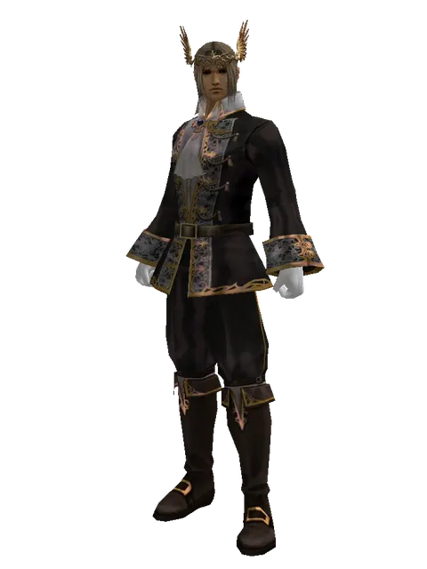 Wings of Destiny Circlet on a male Human fighter, front view