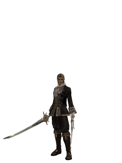 Infinity Wing on a male Human fighter, front view