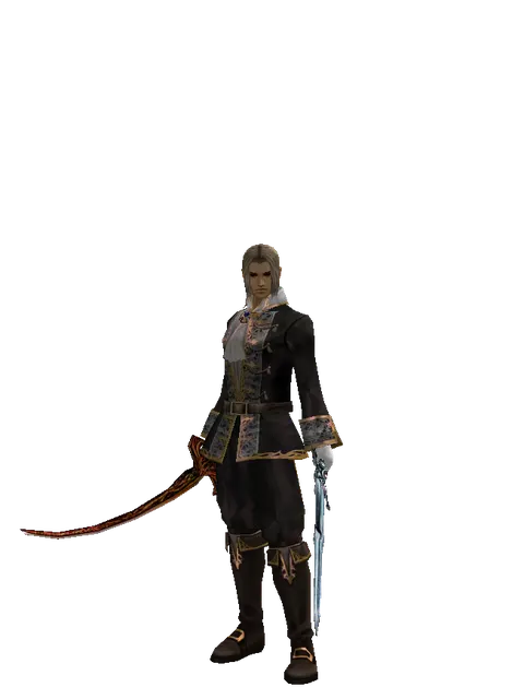 Shamshir*Caliburs on a male Human fighter, front view