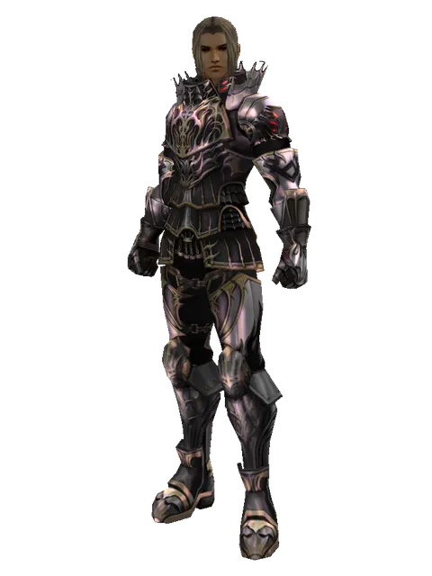 Apella (heavy armor) on a male Human fighter, front view