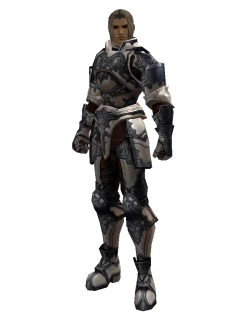 Avadon Heavy Set on a male Human fighter, front view