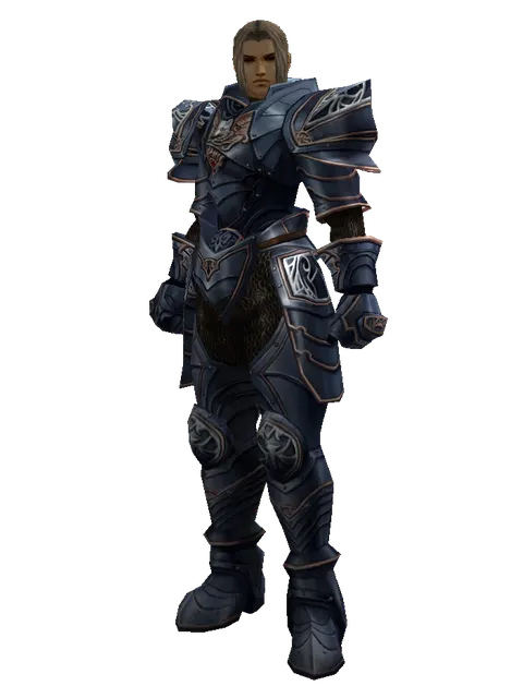 Blue Wolf Set - Heavy on a male Human fighter, front view