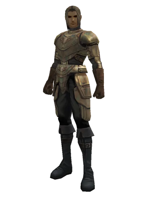 Bronze (heavy armor) on a male Human fighter, front view