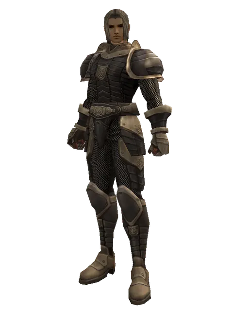 Chain Mail Set on a male Human fighter, front view
