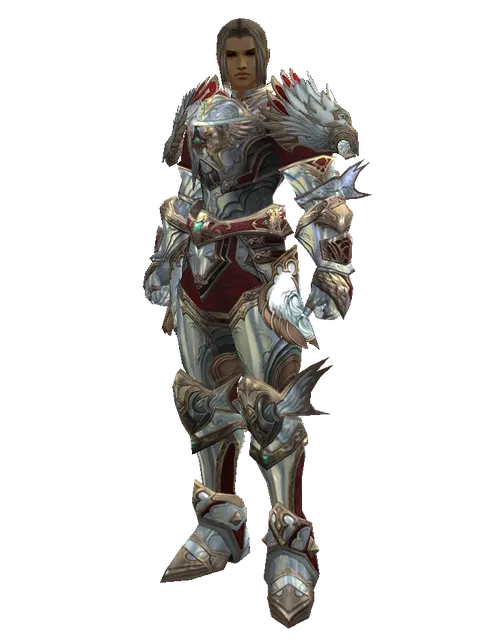 Dynasty [Bard] (heavy armor) on a male Human fighter, front view