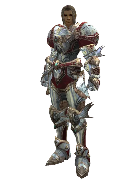 Dynasty [Shield Master] (heavy armor) on a male Human fighter, front view