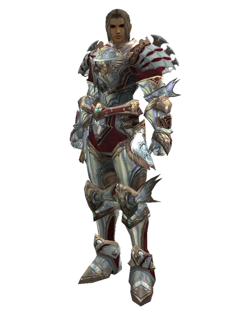 Dynasty [Weapon Master] (heavy armor) on a male Human fighter, front view