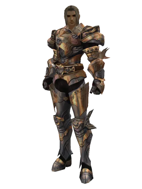 Imperial Crusader Set on a male Human fighter, front view