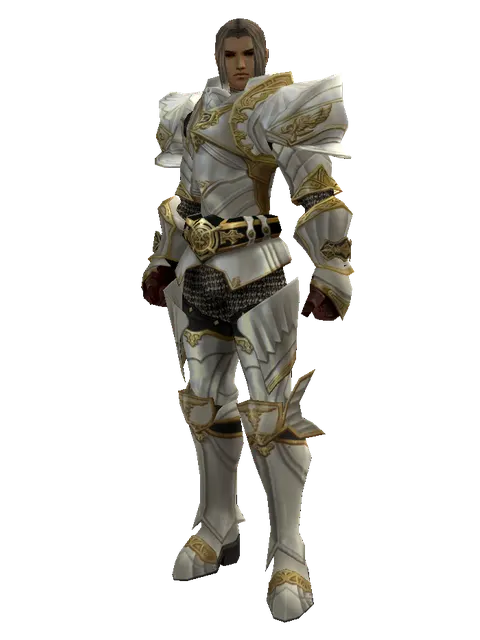 Majestic Plate Set on a male Human fighter, front view