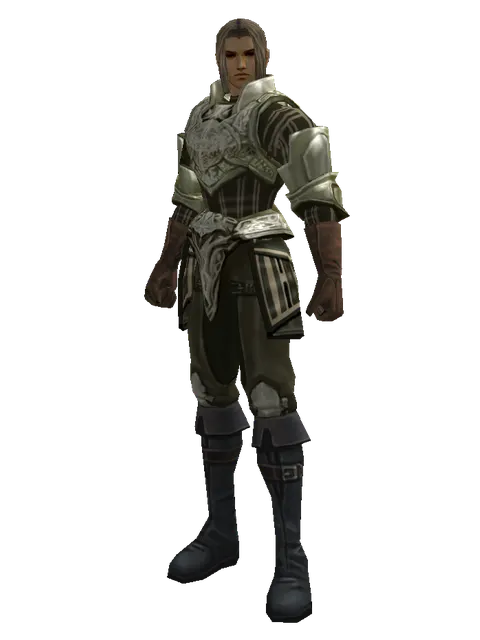 Mithril Set - Heavy on a male Human fighter, front view
