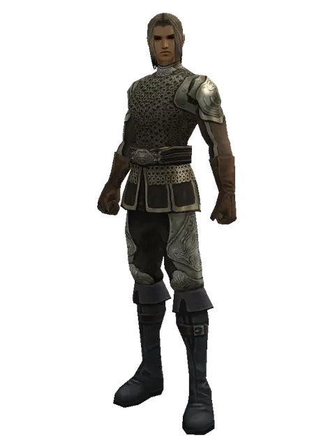 Ring Mail (heavy armor) on a male Human fighter, front view