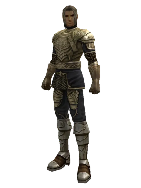Ubiquitous (heavy armor) on a male Human fighter, front view