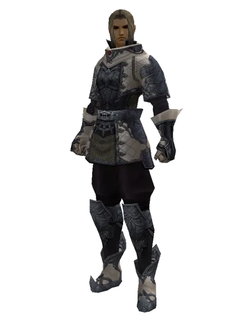 Avadon Leather Set on a male Human fighter, front view