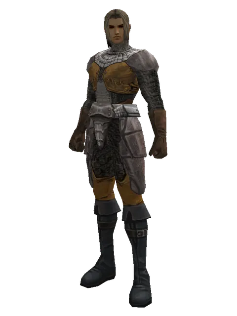 Lion Skin (light armor) on a male Human fighter, front view
