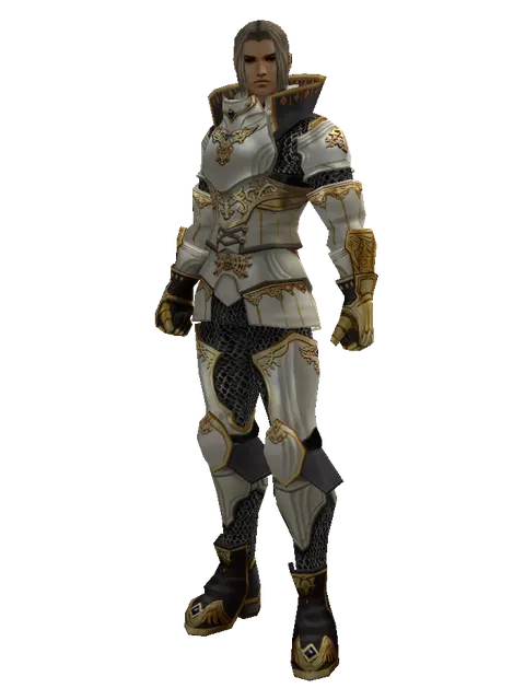 Majestic Leather Set on a male Human fighter, front view