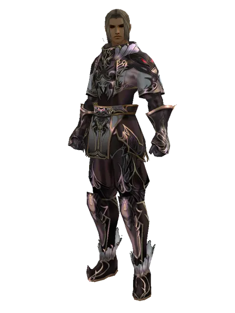Apella Set - Robe on a male Human fighter, front view