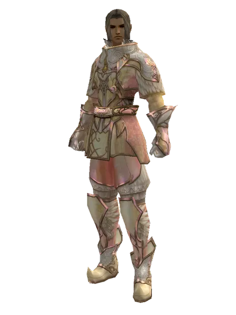 Major Arcana Robe Set on a male Human fighter, front view