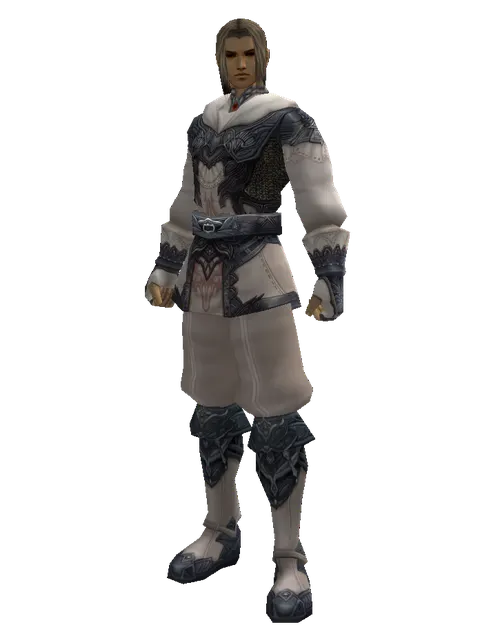 Avadon Robe Set on a male Human fighter, front view