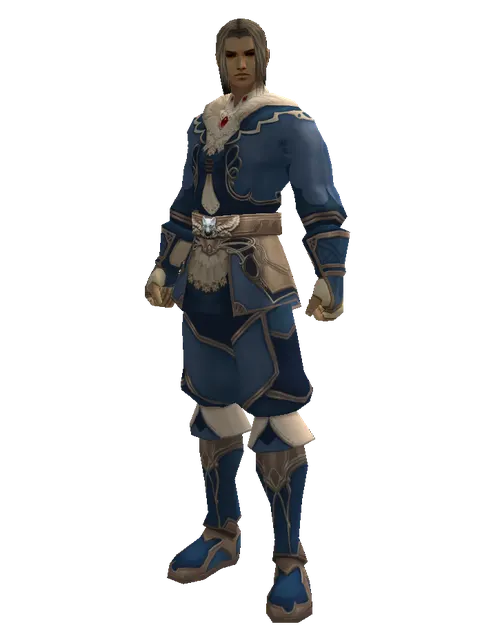 Blue Wolf Set - Robe on a male Human fighter, front view