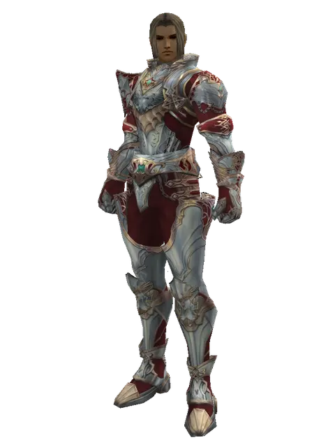 Dynasty Set - Robe on a male Human fighter, front view