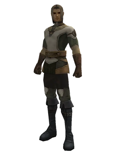 Feriotic (robe) on a male Human fighter, front view