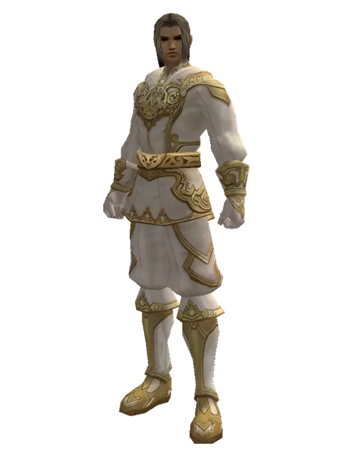 Majestic Robe Set on a male Human fighter, front view