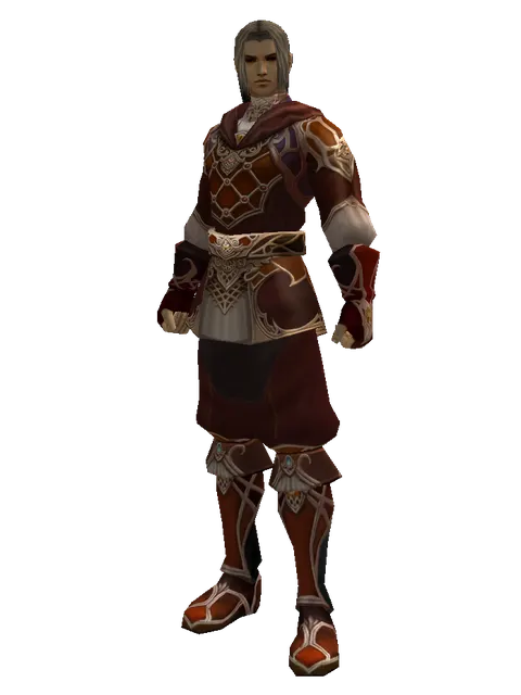 Robe of Nightmare Set on a male Human fighter, front view