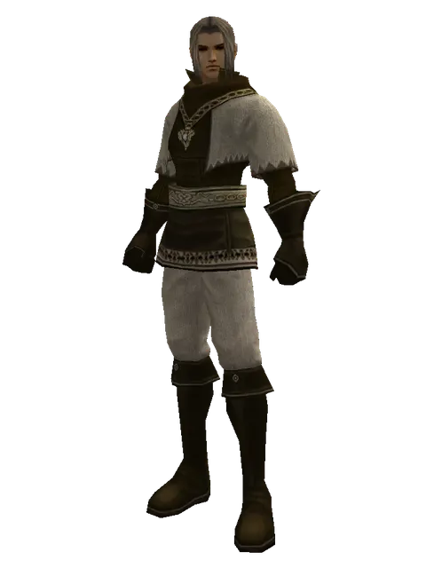 Sage's (robe) on a male Human fighter, front view