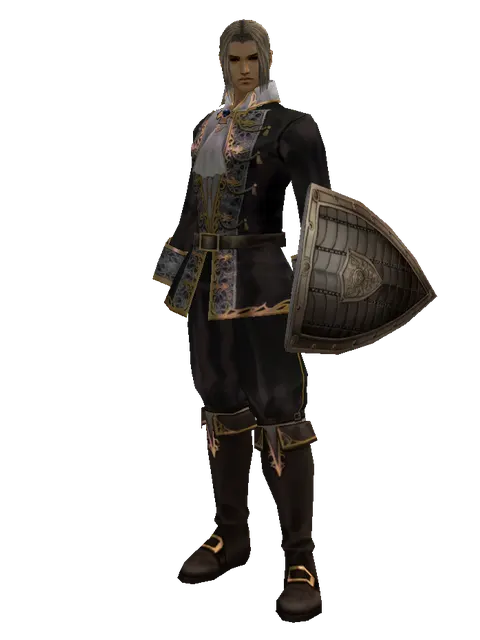 Chain Shield on a male Human fighter, front view