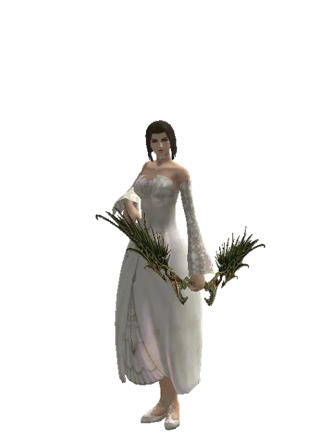 Noble Elven Bow on a female Human mystic, front view
