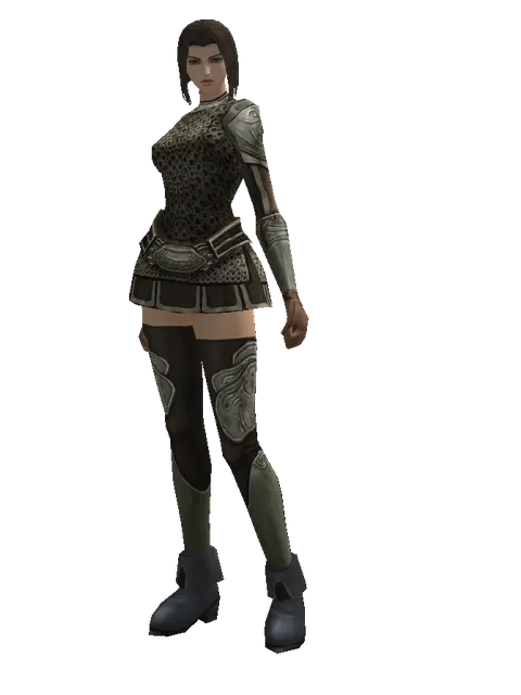 Ring Mail (heavy armor) on a female Human mystic, front view