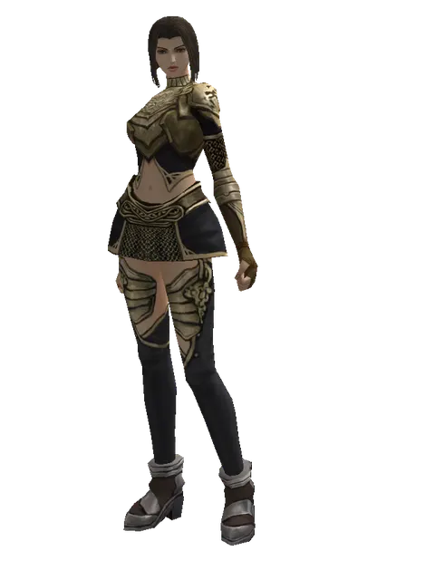 Ubiquitous (heavy armor) on a female Human mystic, front view