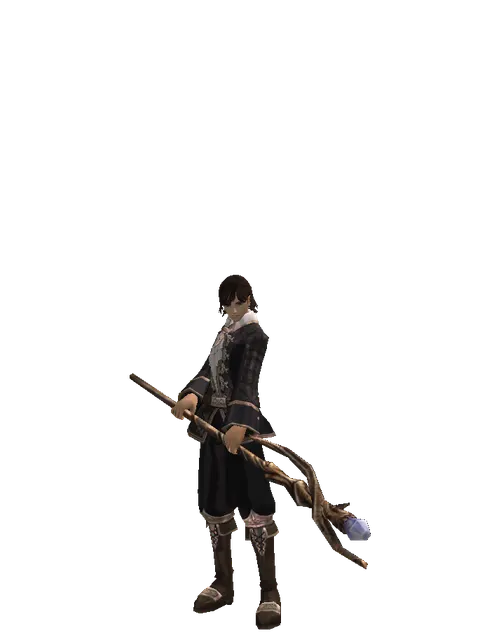 Staff of Magic on a male Human mystic, front view