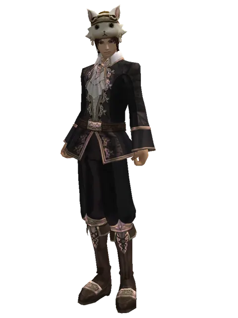 Cat the Cat Hat (?) on a male Human mystic, front view