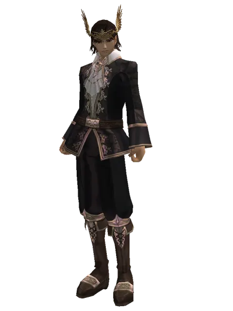 Wings of Destiny Circlet on a male Human mystic, front view