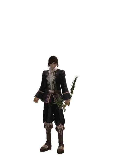 Noble Elven Bow on a male Human mystic, front view